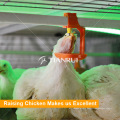 Automatic Poultry Nipple Drinking System For Chicken Farm